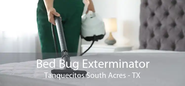 Bed Bug Exterminator Tanquecitos South Acres - TX