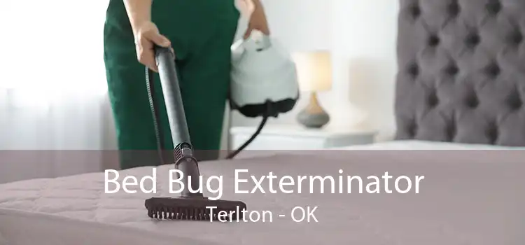 Bed Bug Exterminator Terlton - OK