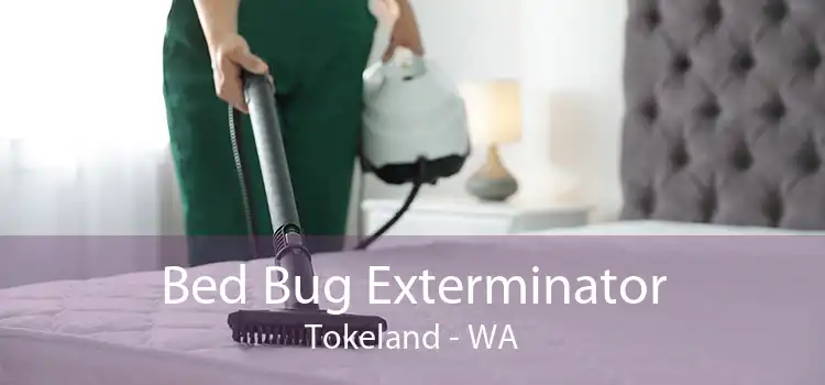 Bed Bug Exterminator Tokeland - WA