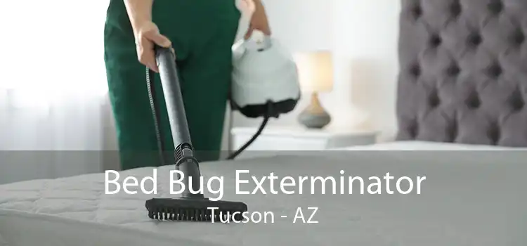 Bed Bug Exterminator Tucson - AZ