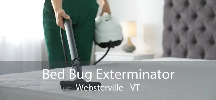 Bed Bug Exterminator Websterville - VT