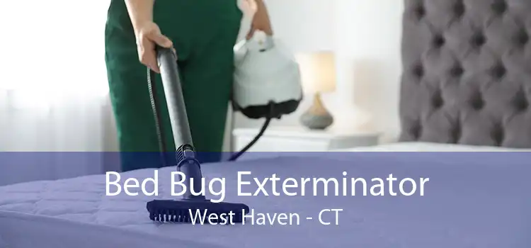 Bed Bug Exterminator West Haven - CT