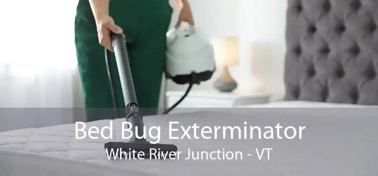 Bed Bug Exterminator White River Junction - VT