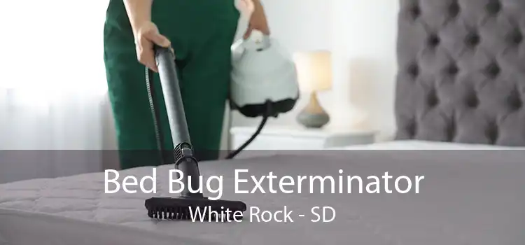 Bed Bug Exterminator White Rock - SD