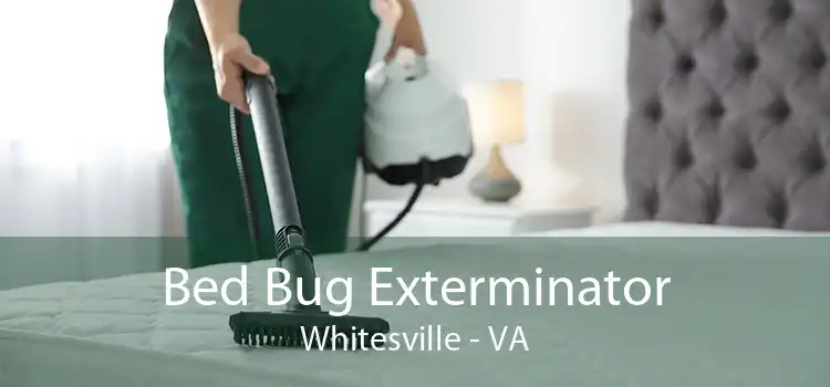 Bed Bug Exterminator Whitesville - VA