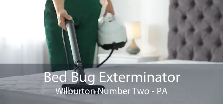 Bed Bug Exterminator Wilburton Number Two - PA