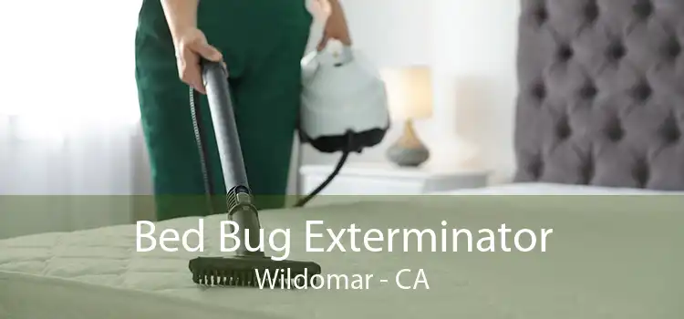 Bed Bug Exterminator Wildomar - CA