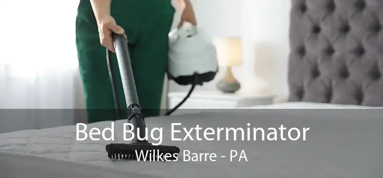 Bed Bug Exterminator Wilkes Barre - PA