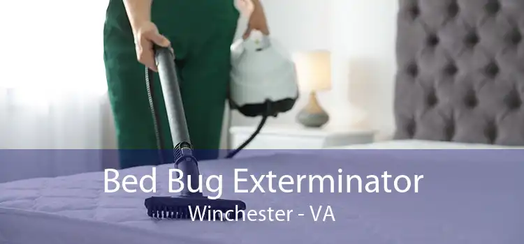 Bed Bug Exterminator Winchester - VA