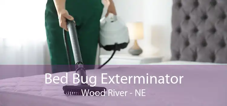 Bed Bug Exterminator Wood River - NE