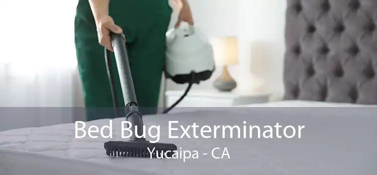 Bed Bug Exterminator Yucaipa - CA