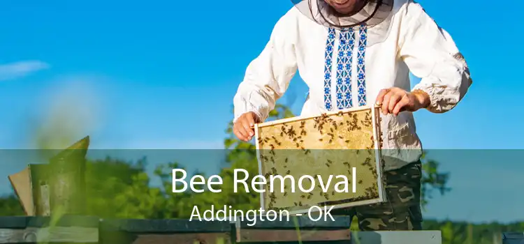 Bee Removal Addington - OK