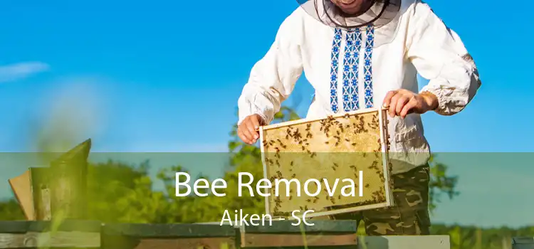 Bee Removal Aiken - SC