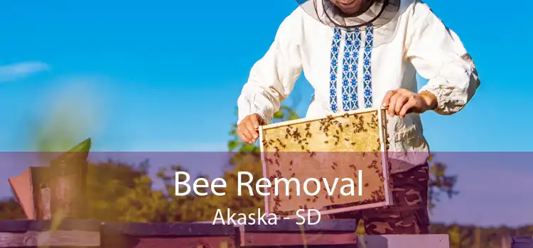 Bee Removal Akaska - SD