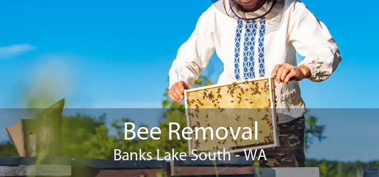 Bee Removal Banks Lake South - WA