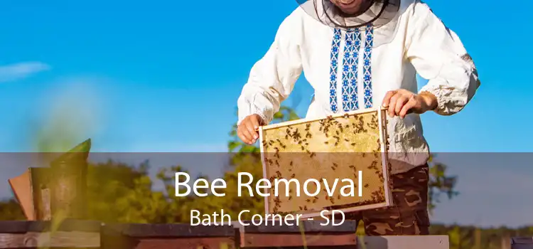 Bee Removal Bath Corner - SD