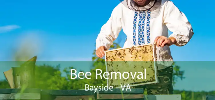 Bee Removal Bayside - VA