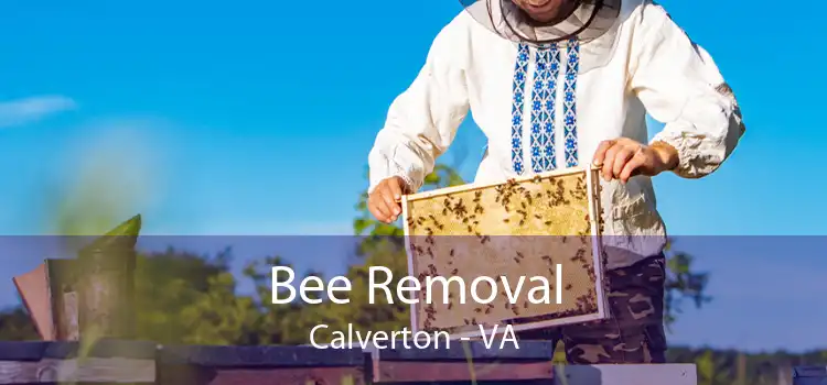 Bee Removal Calverton - VA