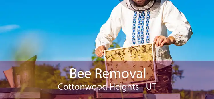 Bee Removal Cottonwood Heights - UT