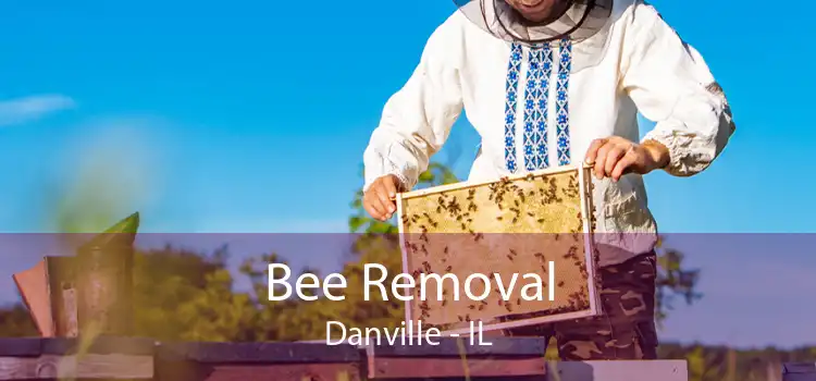 Bee Removal Danville - IL