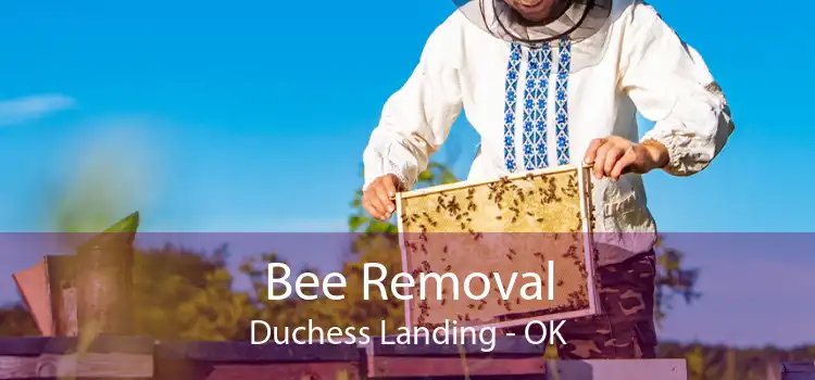 Bee Removal Duchess Landing - OK