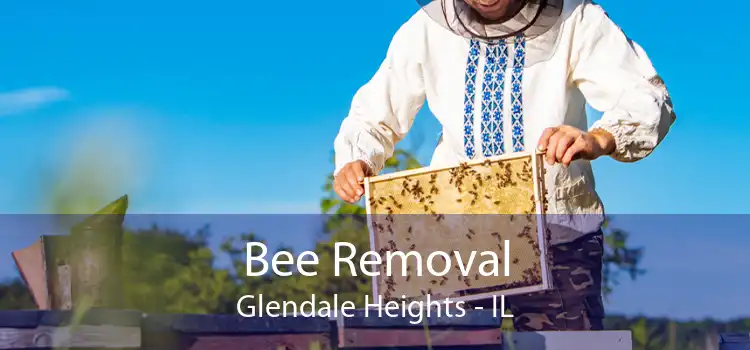 Bee Removal Glendale Heights - IL