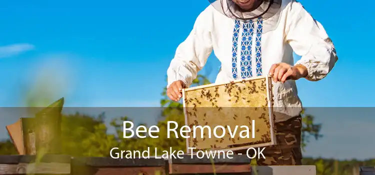 Bee Removal Grand Lake Towne - OK