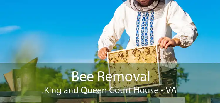 Bee Removal King and Queen Court House - VA