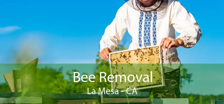 Bee Removal La Mesa - CA