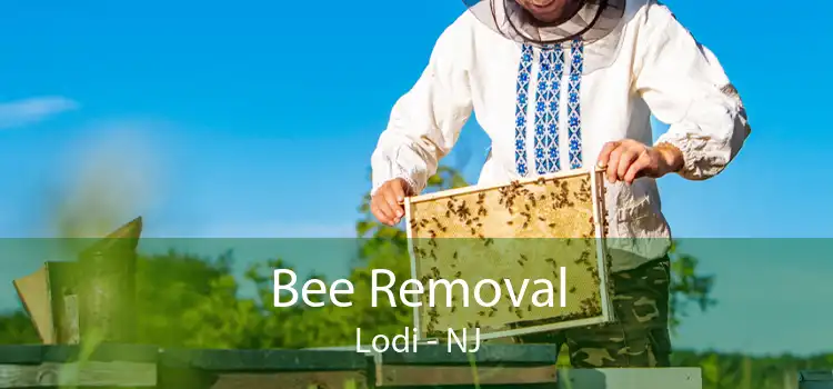 Bee Removal Lodi - NJ