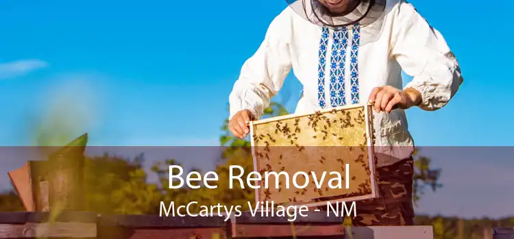 Bee Removal McCartys Village - NM