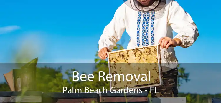 Bee Removal Palm Beach Gardens - FL