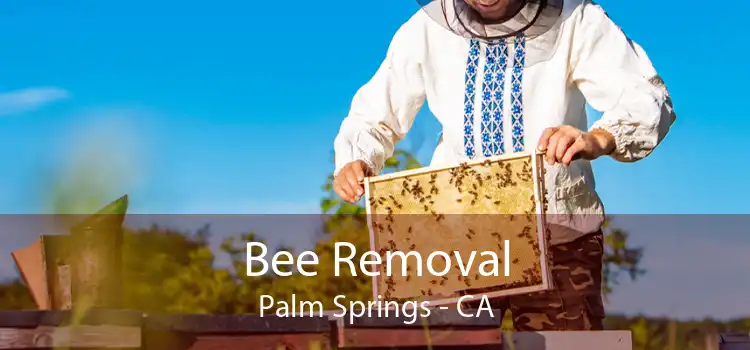 Bee Removal Palm Springs - CA