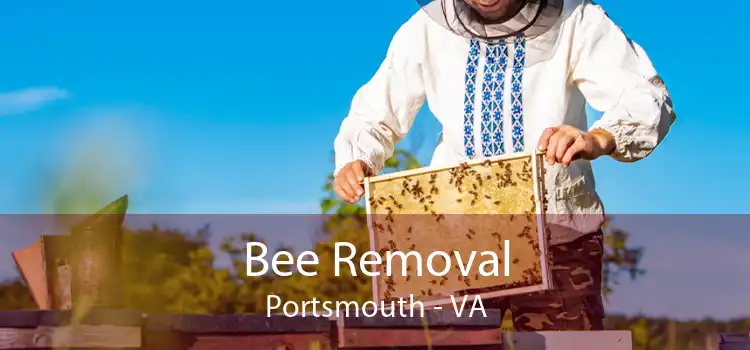 Bee Removal Portsmouth - VA