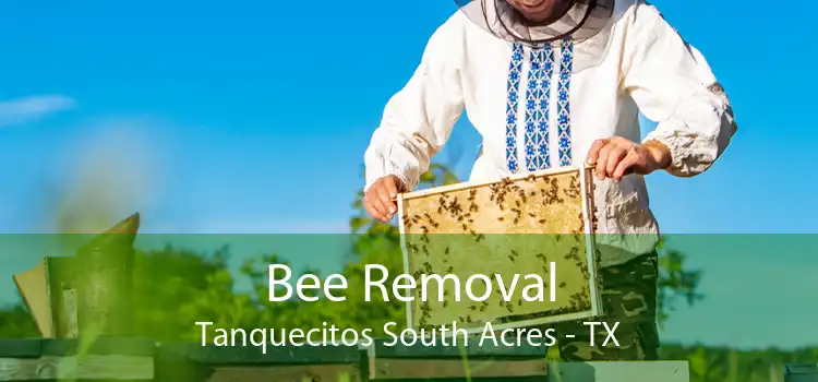 Bee Removal Tanquecitos South Acres - TX