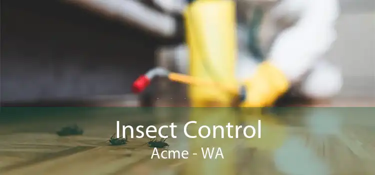 Insect Control Acme - WA