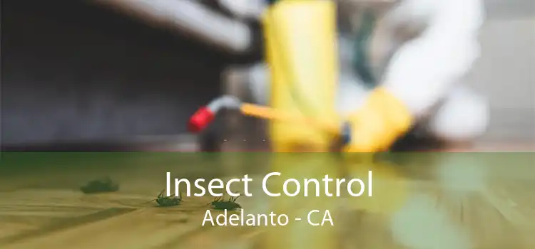 Insect Control Adelanto - CA