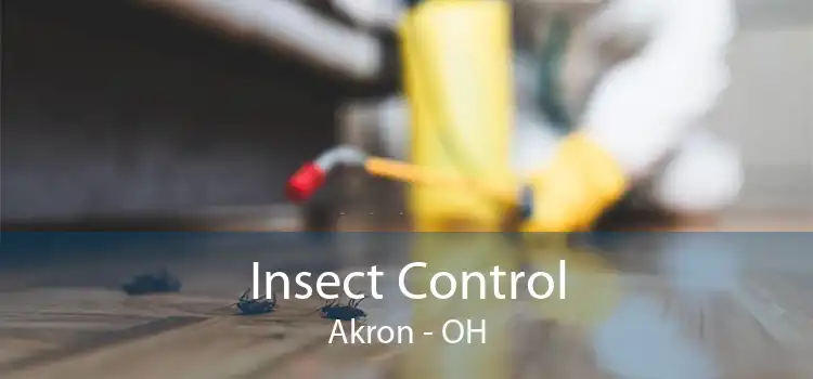 Insect Control Akron - OH