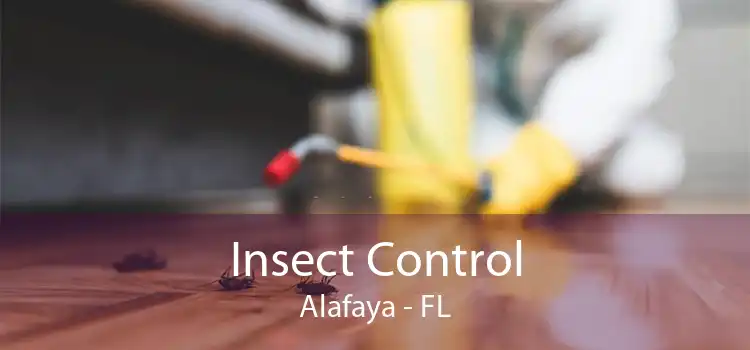 Insect Control Alafaya - FL