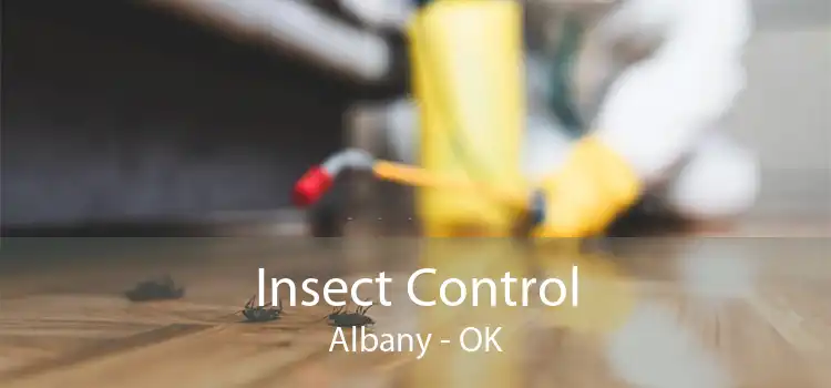 Insect Control Albany - OK