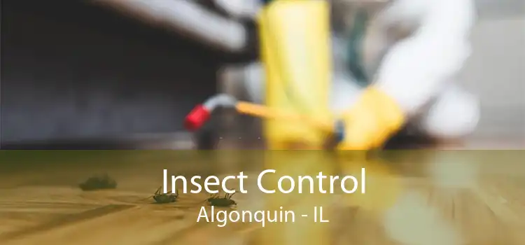 Insect Control Algonquin - IL