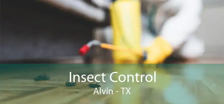 Insect Control Alvin - TX