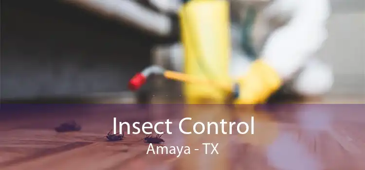 Insect Control Amaya - TX