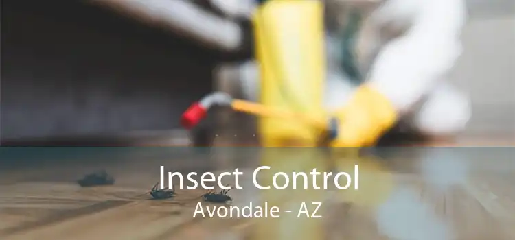 Insect Control Avondale - AZ