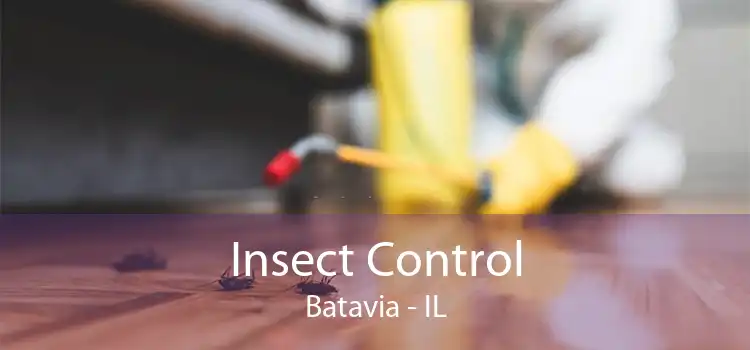 Insect Control Batavia - IL