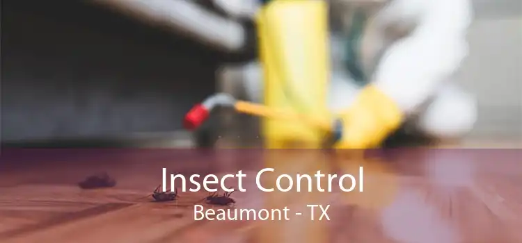 Insect Control Beaumont - TX