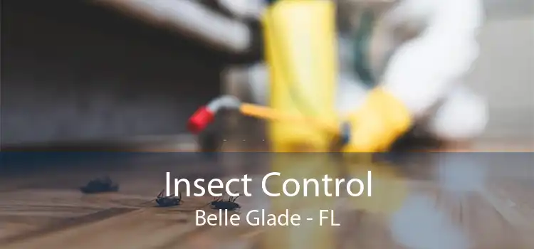 Insect Control Belle Glade - FL