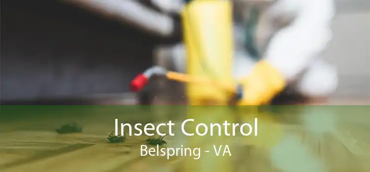 Insect Control Belspring - VA