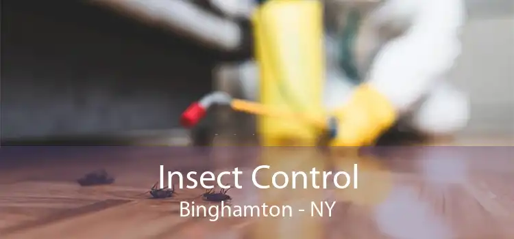 Insect Control Binghamton - NY