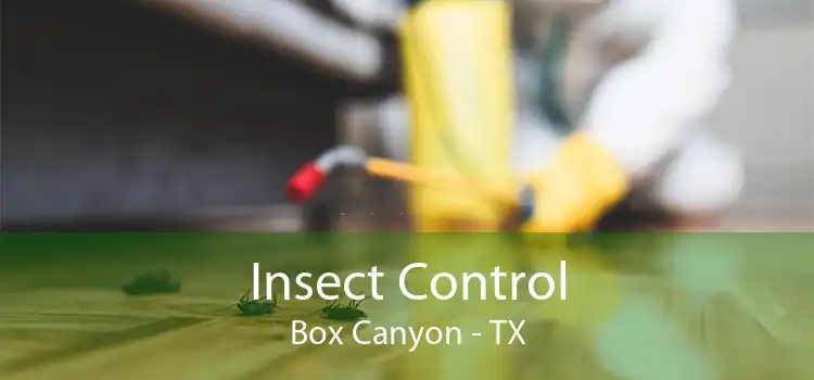 Insect Control Box Canyon - TX